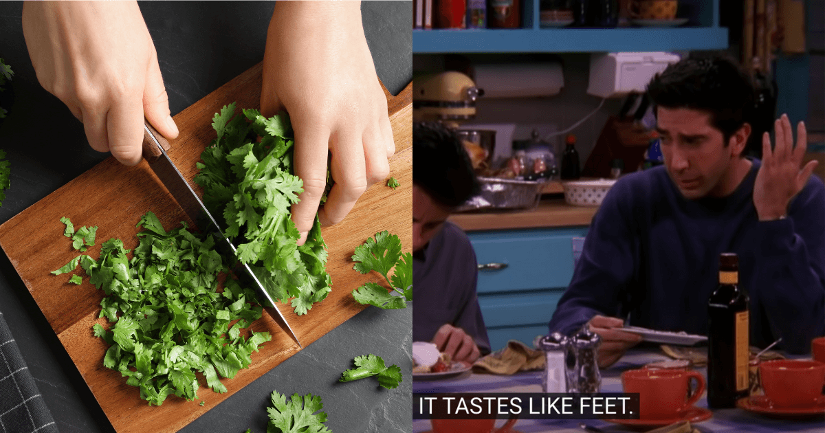 Today is International ‘I Hate Coriander Day’ for all who celebrate