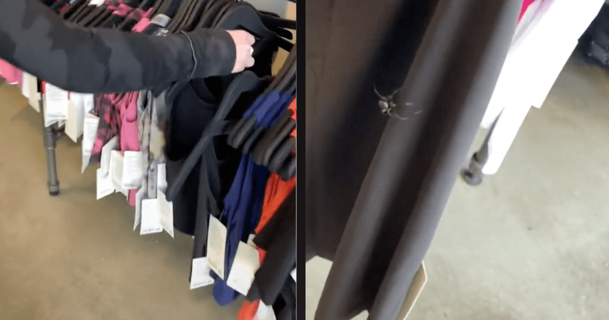 Woman reminds shoppers to wash new items after finding clothes rack infested with spiders