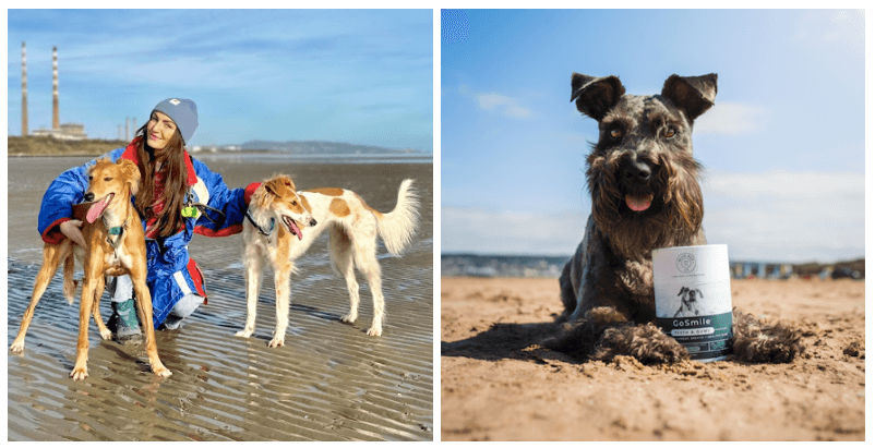 5 tips for Sustainable Dog Ownership to try out ahead of Earth Day