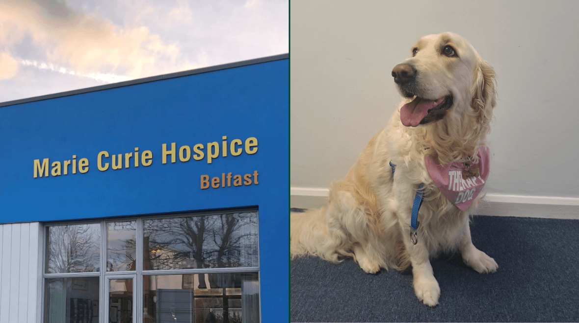 Belfast hospice have hired a therapy dog to bring comfort to patients