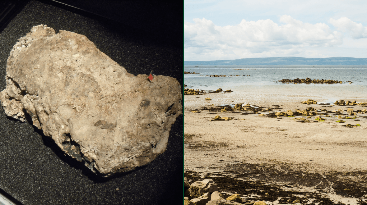 ‘Putrid’ fatberg washes up on beach in Galway, posing risk to local pets