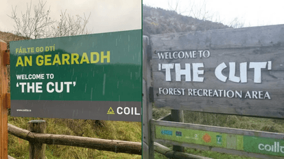 Laois’ most unfortunate signpost has sadly been changed