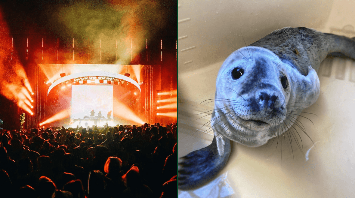 8 last minute gifts for when you don’t want to go traipsing around the shops