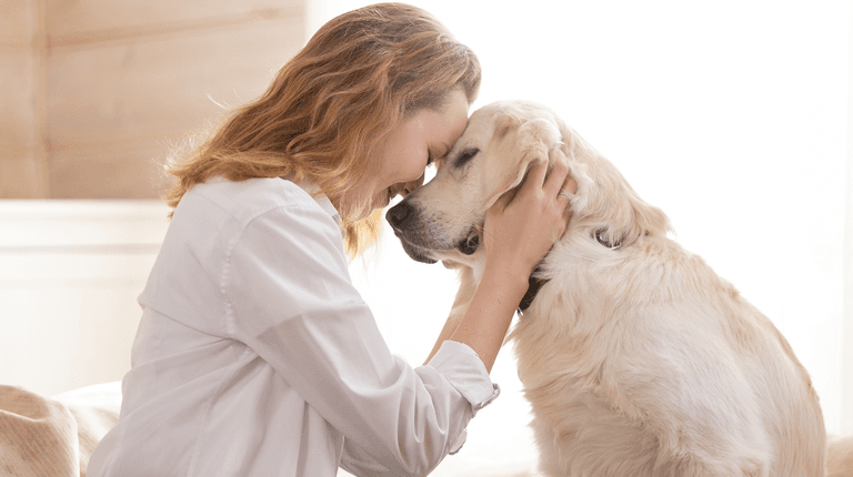 Renters to gain right to keep pets under new housing plan