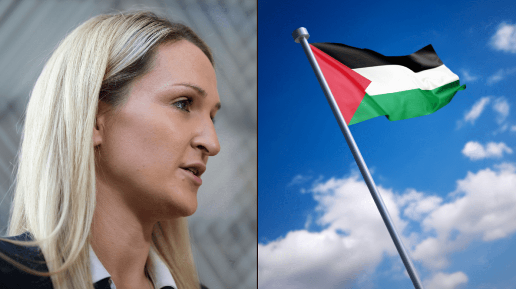 Ireland announces €42m Palestine aid package as McEntee visits Rafah