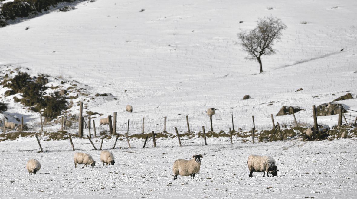 Weather experts warn that snow could be on its way