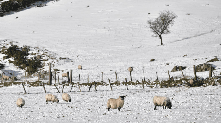 Weather experts warn that snow could be on its way