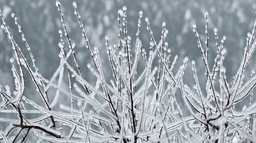 Met Éireann warns of possible snow as heating bills continue to rise