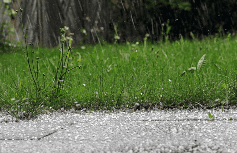 Ireland to be hit by hail and thunder as miserable end to the week forecast Ireland to be hit by hail and thunder as miserable end to the week forecast
