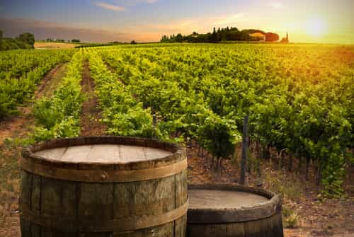 You can sleep in an ACTUAL wine barrel at this vineyard in Portugal You can sleep in an ACTUAL wine barrel at this vineyard in Portugal