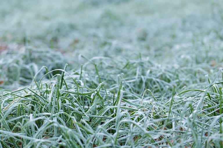 Temperatures set to plummet below zero over the bank holiday weekend with frost and ice expected Temperatures set to plummet below zero over the bank holiday weekend with frost and ice expected