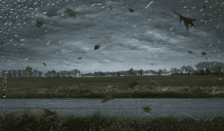 Storm Elsa results in orange weather warning being issued for Cork Storm Elsa results in orange weather warning being issued for Cork