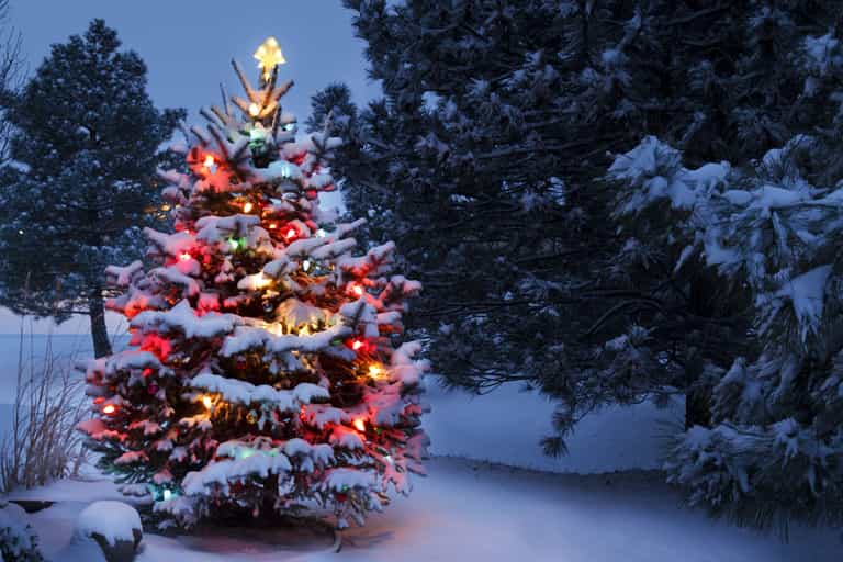 Forecaster issues update on the chances of a White Christmas in Ireland Forecaster issues update on the chances of a White Christmas in Ireland