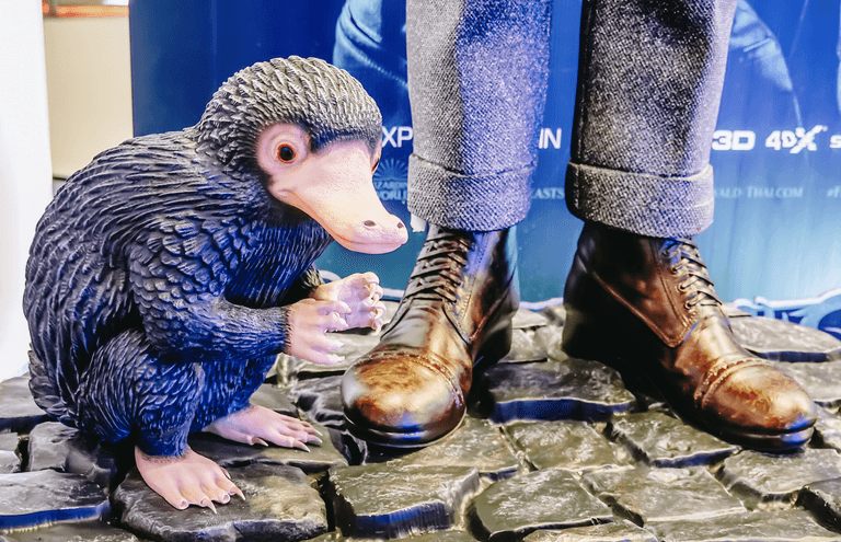 BBC One to air Harry Potter-inspired ‘Fantastic Beasts’ documentary BBC One to air Harry Potter-inspired ‘Fantastic Beasts’ documentary