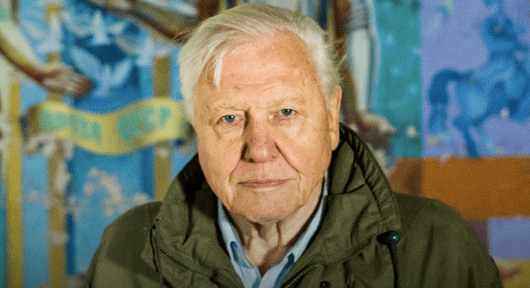 Seven Irish cinemas will hold a Q&A with David Attenborough this April Seven Irish cinemas will hold a Q&A with David Attenborough this April