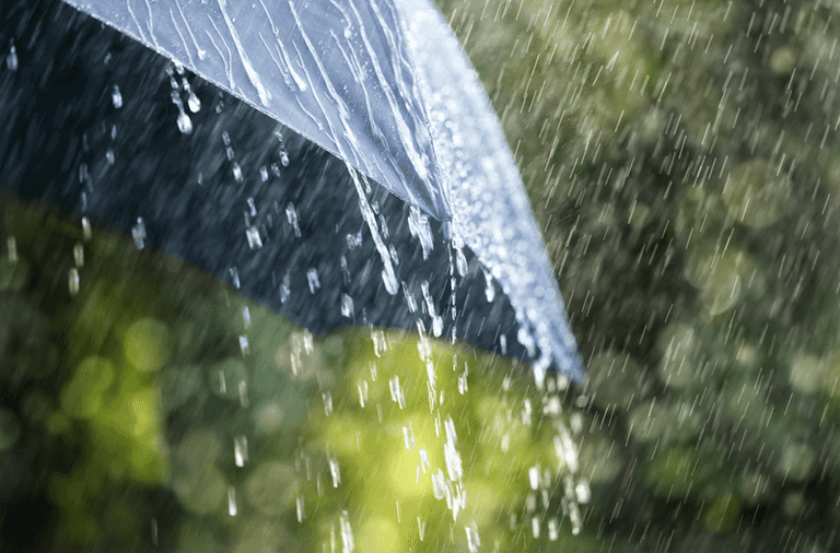 Rainfall warning issued for four counties tomorrow Rainfall warning issued for four counties tomorrow