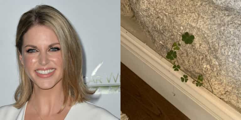 Amy Huberman found shamrocks growing INSIDE her house, had a mini parade to celebrate Amy Huberman found shamrocks growing INSIDE her house, had a mini parade to celebrate