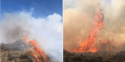 Grisly images show large gorse fire in Donegal as Fire Brigade issues red fire warning Grisly images show large gorse fire in Donegal as Fire Brigade issues red fire warning