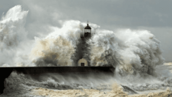 Six counties have been issued with a wind warning with gusts of up to 110 km/h expected Six counties have been issued with a wind warning with gusts of up to 110 km/h expected