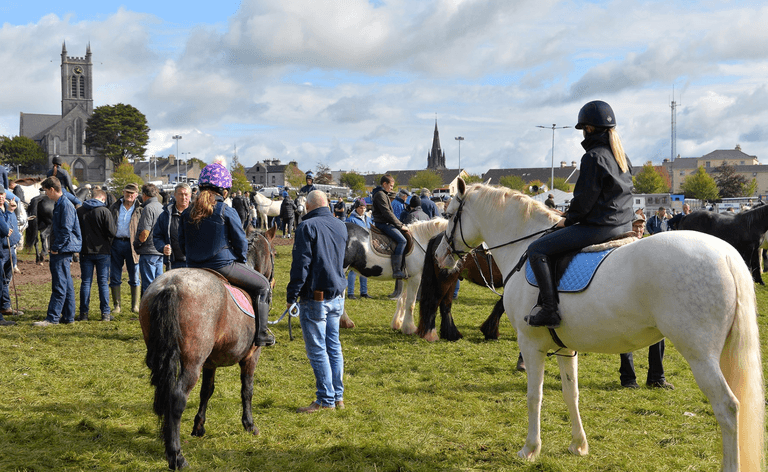 Organisers confirm cancellation of Ireland’s oldest horse fair Organisers confirm cancellation of Ireland’s oldest horse fair