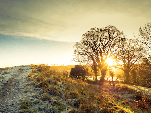 Met Éireann forecast frost for tonight as bizarre July continues Met Éireann forecast frost for tonight as bizarre July continues