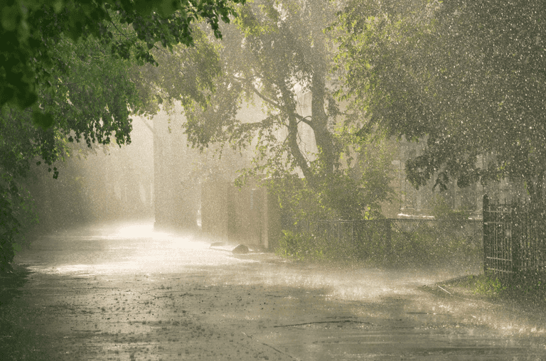 It is going to be very warm and very rainy all week It is going to be very warm and very rainy all week