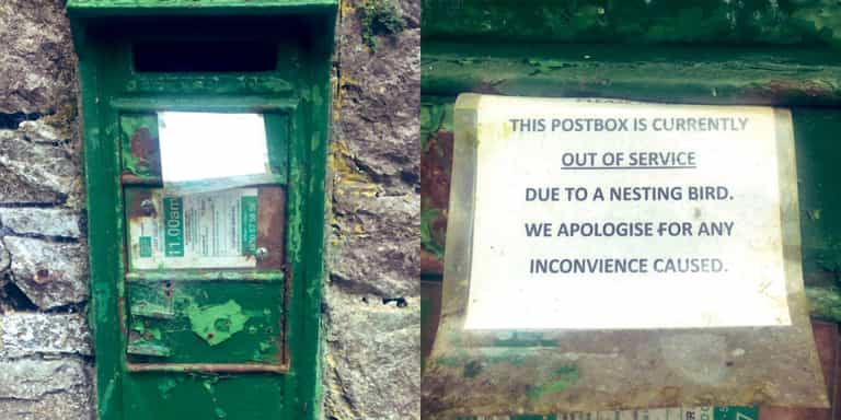 Only in Ireland – This Cork postbox is out of use for the most adorable reason Only in Ireland – This Cork postbox is out of use for the most adorable reason