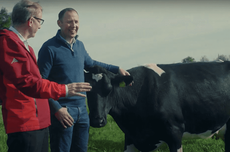 Rewarding Passion: Patrick Wall visits the award-winning McKenna farm in Monaghan Rewarding Passion: Patrick Wall visits the award-winning McKenna farm in Monaghan
