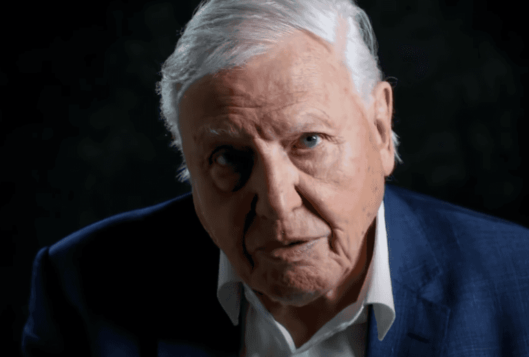 WATCH: Sir David Attenborough has an important message for the public WATCH: Sir David Attenborough has an important message for the public