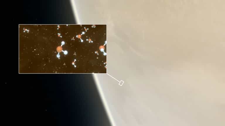Scientists have detected signs of alien life on Venus Scientists have detected signs of alien life on Venus