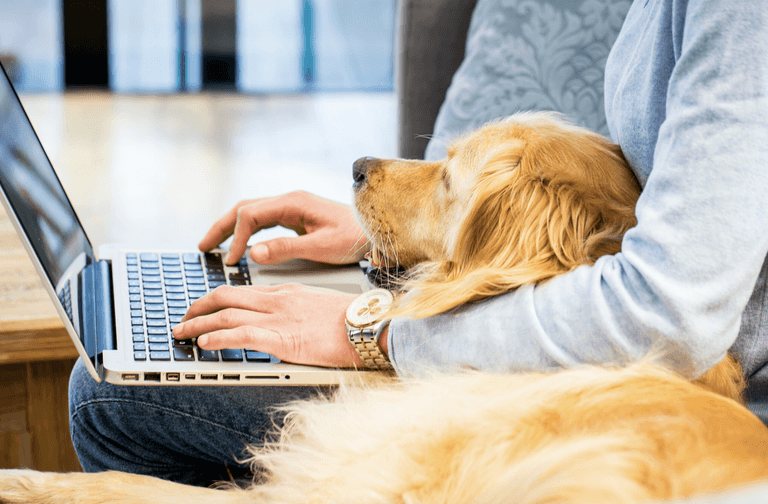 Working from home? Here’s all the home office inspo you need Working from home? Here’s all the home office inspo you need