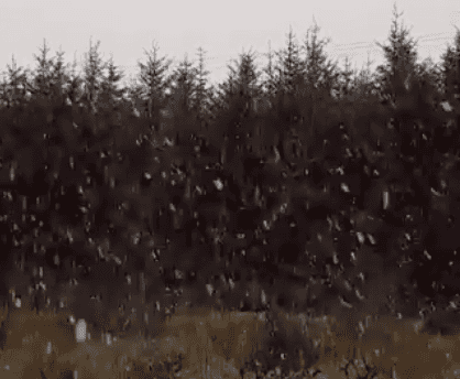 WATCH: It’s already snowing in parts of Ireland WATCH: It’s already snowing in parts of Ireland
