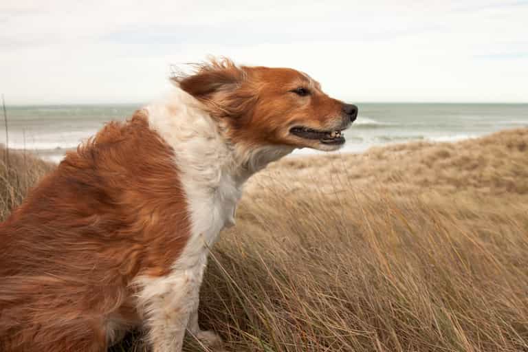 Status Yellow Wind warning extended to more parts of the country Status Yellow Wind warning extended to more parts of the country