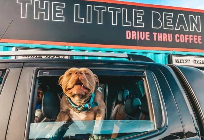 This 80s themed coffee drive-thru is a must for your morning brew This 80s themed coffee drive-thru is a must for your morning brew