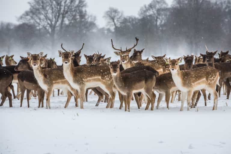 Snow warning issued for 18 counties starting from 6am on Sunday Snow warning issued for 18 counties starting from 6am on Sunday