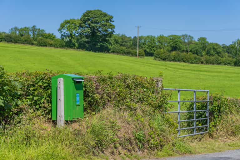 An Post successfully deliver postcard addressed to couple with ‘a rake of cats’ An Post successfully deliver postcard addressed to couple with ‘a rake of cats’