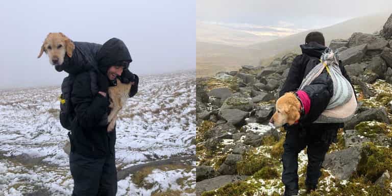 WATCH: Local hikers rescue injured pup stranded up Wicklow Mountains for two whole weeks WATCH: Local hikers rescue injured pup stranded up Wicklow Mountains for two whole weeks