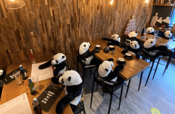 Irish restaurant fills tables with panda customers to put a bit of life back in the place Irish restaurant fills tables with panda customers to put a bit of life back in the place