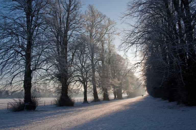 Office of Emergency Planning shares advice to the public ahead of ‘severe’ weather conditions Office of Emergency Planning shares advice to the public ahead of ‘severe’ weather conditions