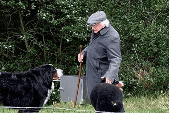 President Higgins has confirmed the name of his new dog President Higgins has confirmed the name of his new dog