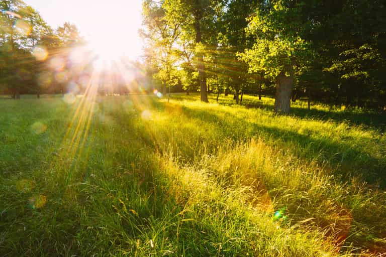 Saturday to bring ‘good sunny spells’ according to Met Éireann Saturday to bring ‘good sunny spells’ according to Met Éireann