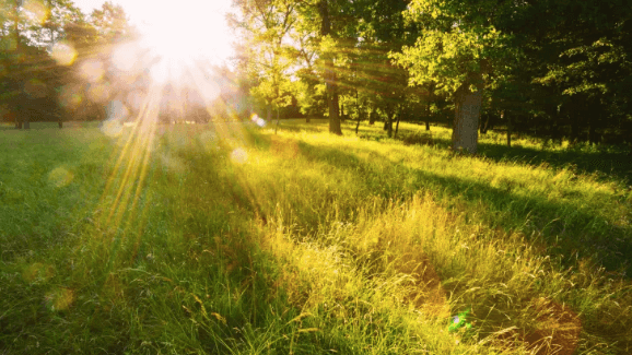 Temperatures to reach as high as 17 degrees on Friday as promising weekend awaits Temperatures to reach as high as 17 degrees on Friday as promising weekend awaits