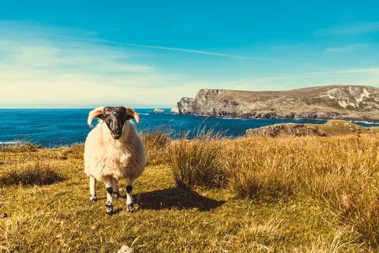 The Wild Atlantic Way has been named the most Instagrammed road trip in Europe The Wild Atlantic Way has been named the most Instagrammed road trip in Europe