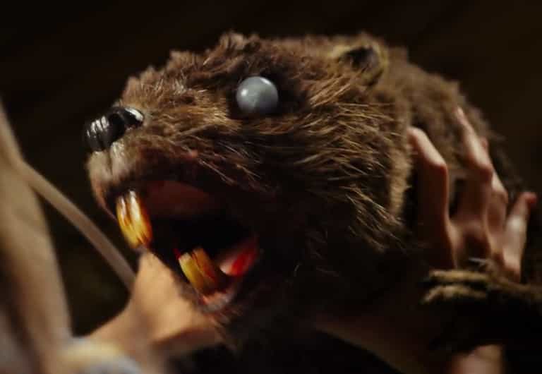 Zombeavers is one of the most terrible yet ironically brilliant movies you can watch on Netflix right now Zombeavers is one of the most terrible yet ironically brilliant movies you can watch on Netflix right now