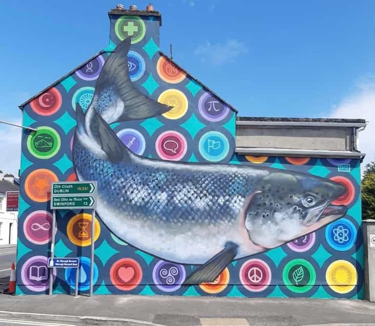 Foxford have unveiled these beautiful murals to bring a pop of colour into the town Foxford have unveiled these beautiful murals to bring a pop of colour into the town