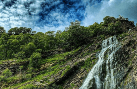 Connect with your inner poet with inspiration from the gorgeous Powerscourt Gardens Connect with your inner poet with inspiration from the gorgeous Powerscourt Gardens