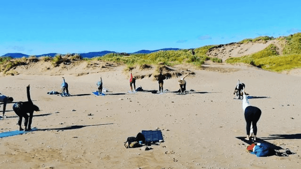 Yoga on the beach will continue in Sligo throughout September Yoga on the beach will continue in Sligo throughout September