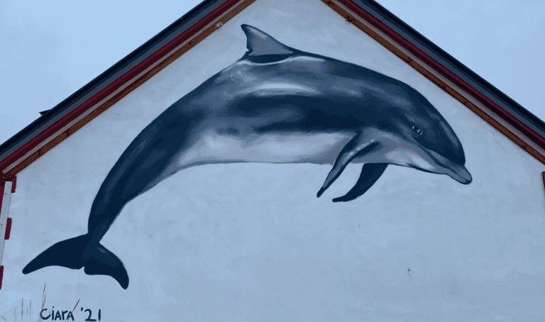 A Fungie mural was unveiled at the dolphin’s memorial service A Fungie mural was unveiled at the dolphin’s memorial service