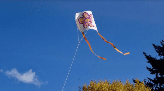 There’s a kite festival happening in Cavan this October There’s a kite festival happening in Cavan this October