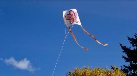 There’s a kite festival happening in Cavan this October There’s a kite festival happening in Cavan this October